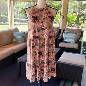 NWOT Loft Swing Shift Dress